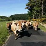 Vakantiehuis Cosy Entre Aubrac & Vallee Du Lot *